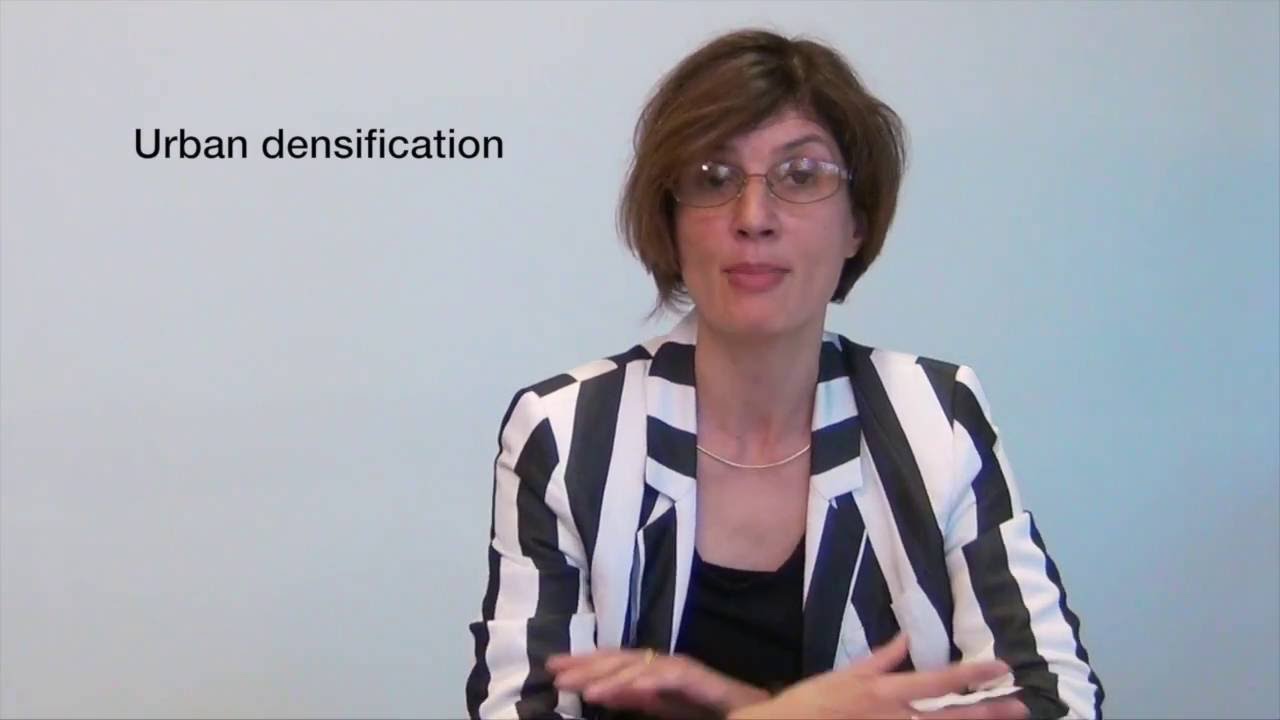 Scientific Validation Hub