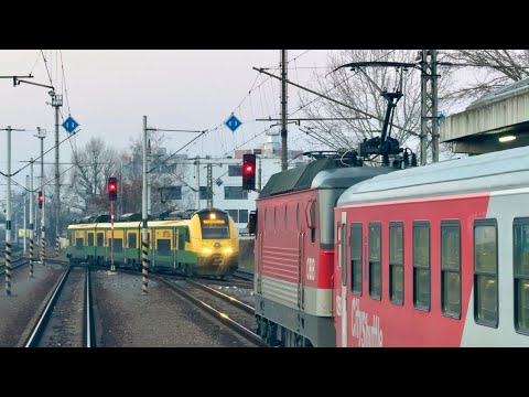 N1Z / Ausfahrt Rex in Bratislava - Petrzalka