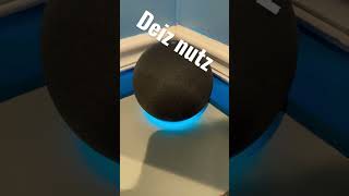 How to get Alexa say Deiz nuts 10+