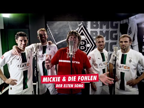 Mickie Krause & die Fohlen: der ELTEN Song! 💚⚽