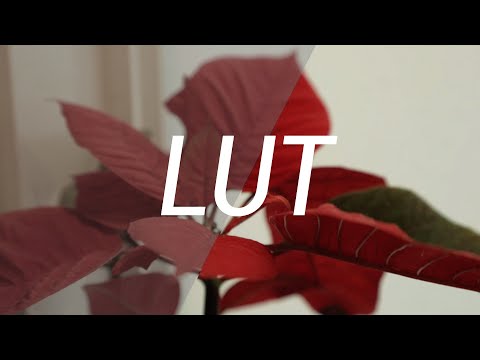 FINALLY Converted LUTs to color grade Cinestyle!