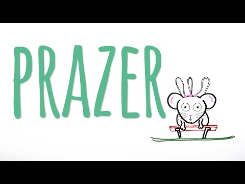 PLEASURE AND THE BRAIN'S REWARD SYSTEM