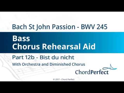Bach's St John Passion Part 12b - Bist du nicht - Bass Chorus Rehearsal Aid