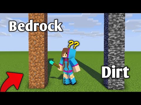 Minecraft Prank: Insects Swap Bedrock & Dirt
