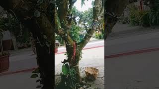 Download lagu #songlyrics #music mp3 Download lagu #songlyrics #music mp3