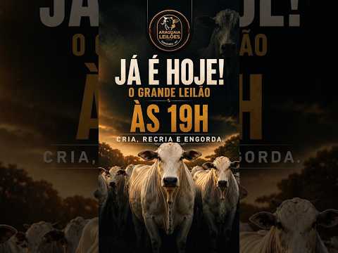 Araguaia leilões Torixoréu - MT   13-08-2026