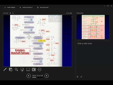 L16   Metabolism III