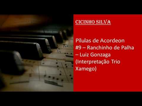 Ranchinho De Palha video