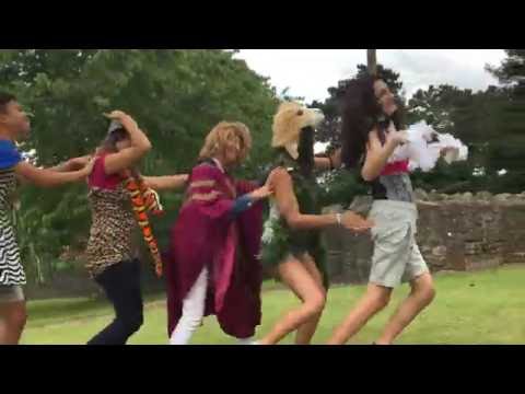 All Stars - Malvern Juniors & Seniors 2016