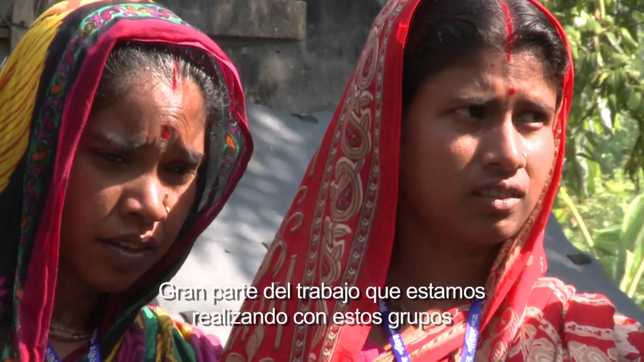 El Codex en Bangladesh: apoyo al desarrollo socioeconómico con las normas alimentarias mundiales