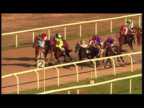 rm 20210912 06 p deneltris