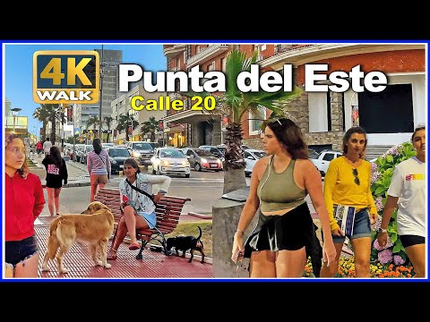 【4K】WALK Calle 20 PUNTA del ESTE 2022 Uruguay vlog 4k video
