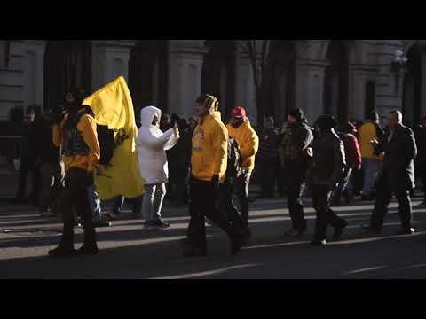 Tell me about the birds, the Bees, the Proud Boys