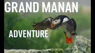 Epic 3-Day NB Road Trip – Polaris Slingshot to Grand Manan Island & Puffin Tour