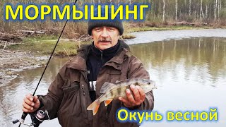 Чем ловить окуня в мутной воде