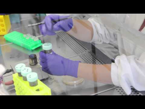 USM - Nuevos antibióticos