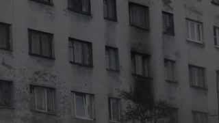 "Det døde løvet" - pictures from Murmansk and Nikkel - a comment to the climate debate 2015