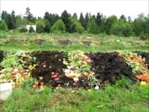 Northwest redworms worm operation, the outdoor windrow in the spring