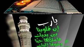 يارب اوعدنا بالجنه