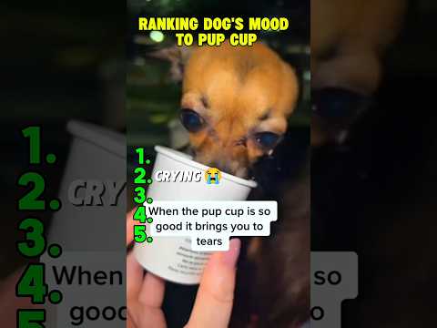 RANKING DOG'S MOOD TO PUP CUP