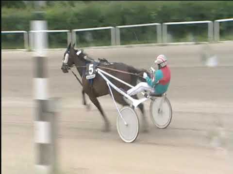 Trotto 01/06/2019 - 6ª corsa