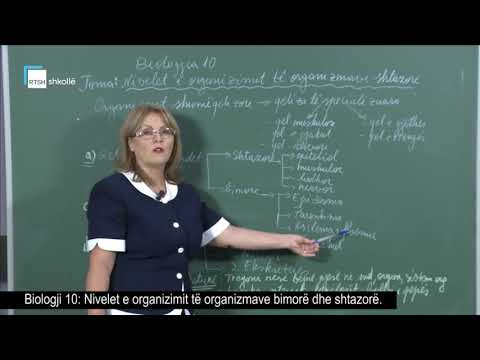 Biologji 10 -Nivelet e organizimit të organizmave bimorë dhe shtazorë
