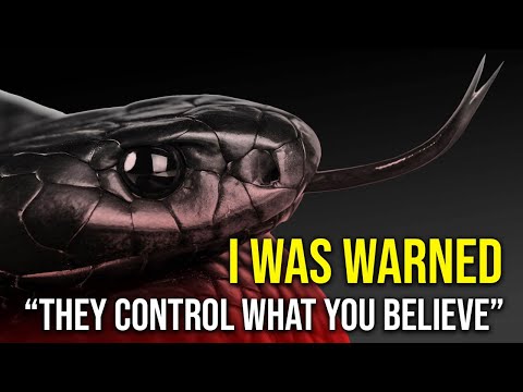 You’re Part Reptilian — And They Don’t Want You to Know
