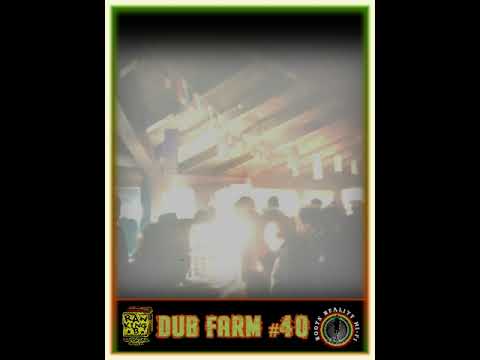 ROOTS REALITY HI FI - DUB FARM 40