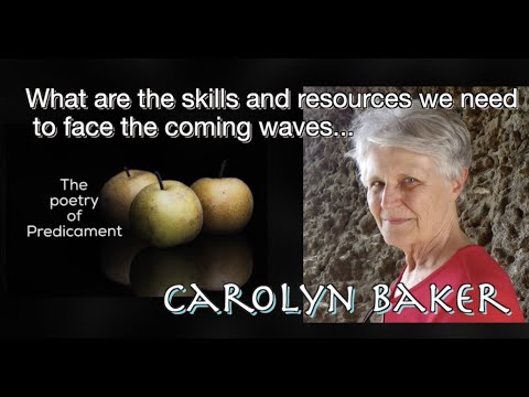Finding Islands of Sanity in a Sea of Global Chaos... Carolyn Baker