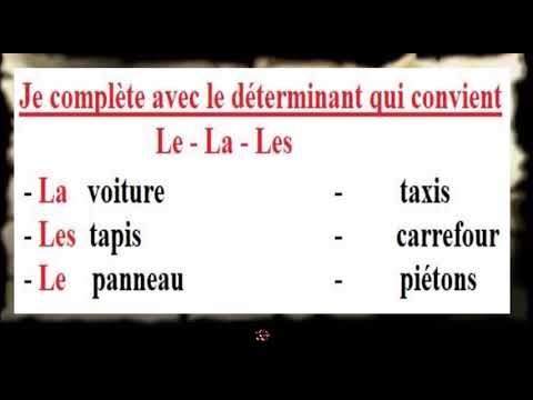 Orthographe - Déterminant - Le La Les - exercice - CE1