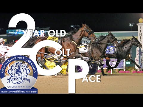2020 Breeders Crown - Perfect Sting & Summa Cum Laude - 2CP
