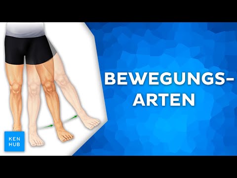 Bewegungsarten einfach erklärt | Kenhub