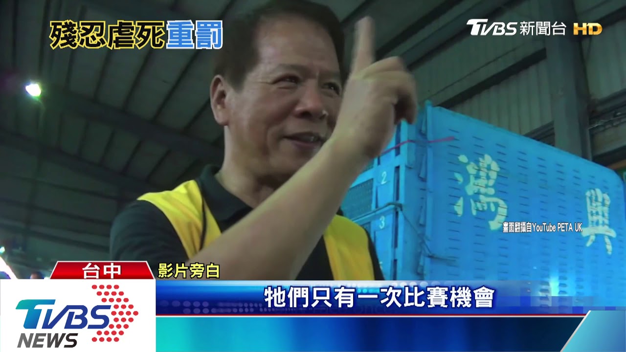 輸了就凌虐 賽鴿會長判1年184賭客判罰錢