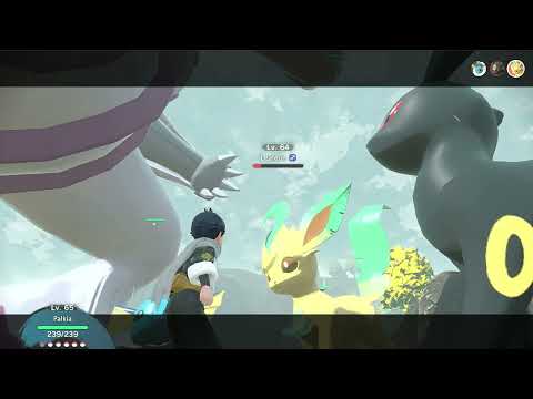 Pokemon Bigsize10x Mods - Battle of 10X big pokemon.
