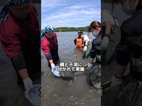 海洋生物実習紹介（万石浦編）