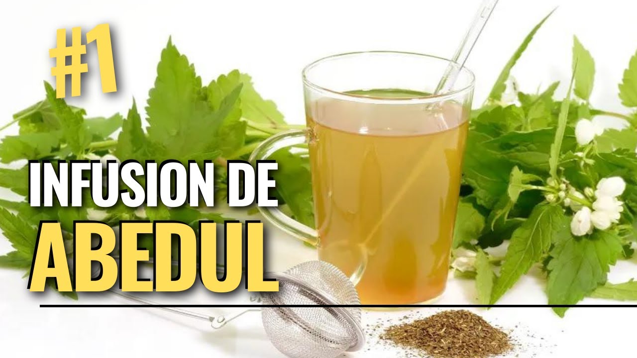 Watch Como preparar una infusion de abedul y para que sirve Now Como preparar una infusion de abedul y para que sirve