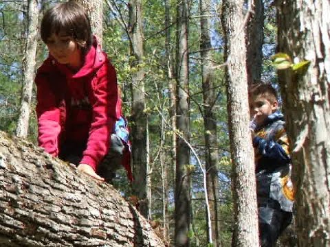 070512 - Returning to the Conservation Area for Another Year 4