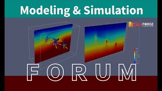 Modeling and Simulation Forum #11