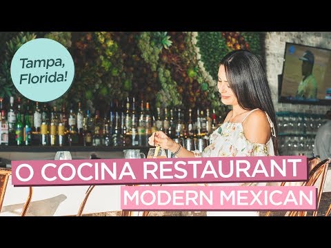 美味的菜品在O Cocina現代墨西哥餐廳在佛羅里達州坦帕市 (Delicious Dishes at O Cocina Modern Mexican Restaurant in Tampa Florida)