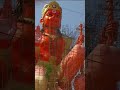 Mahabali Maharudra Hanuman Status Shorts Subscribe DSRSPIRITUALLINK