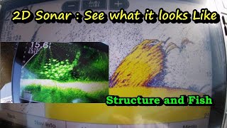 Unlock the Secrets of 2D Sonar for finding Fishing Structure/ 2D sonar Explained See it in real time