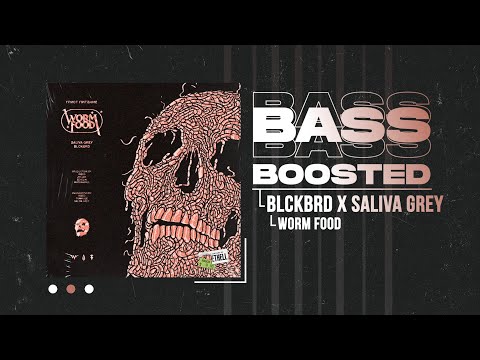 BLCKBRD X SALIVA GREY - WORM FOOD (BASS BOOSTED)