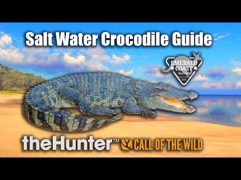 Salt Water Crocodile Guide - Emerald Coast Australia - theHunter Call Of The Wild.