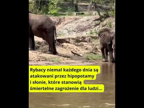 YouTube video preview image