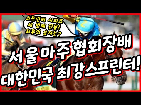 #마주협회장배 대상경주! 최강 스프린터는 과연 누가 차지할까?