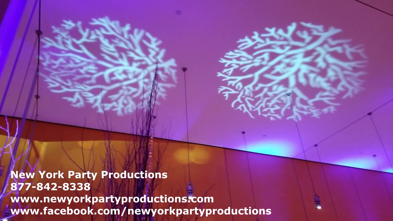 Promotional video thumbnail 33 for New York Party Productions