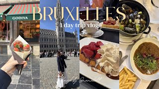 ベルギーVLOG|1日でブリュッセルを満喫🇧🇪♡ベルギーグルメを食べ歩き🧇🍓