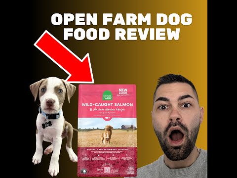 🐶 OpenFarm Dog Food Review Pros/Cons and Ingredient research #doglover #openfarm #dogfood  🐶