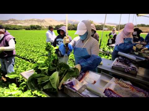 Famous Software - Customer Success Story