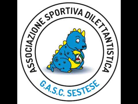 U14F - GASC SESTESE - SERALL BLU DESIO VOLLEY